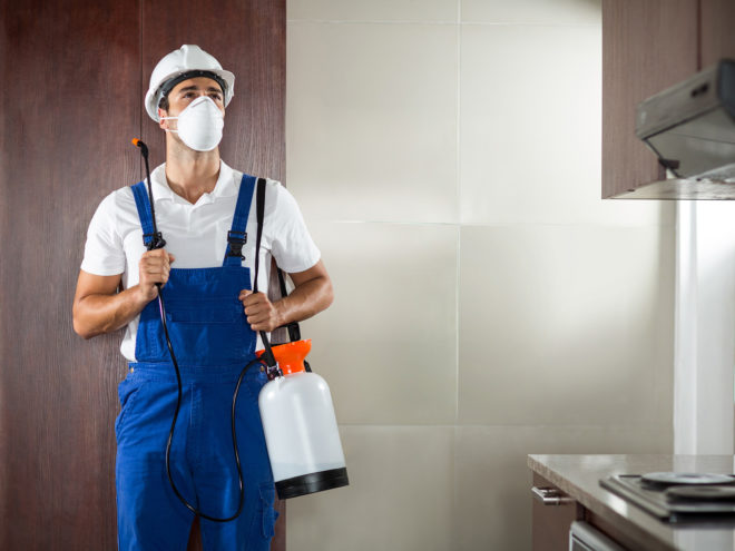 Brothers Pest Control - Lawn Care and Pest Control - Tampa ...