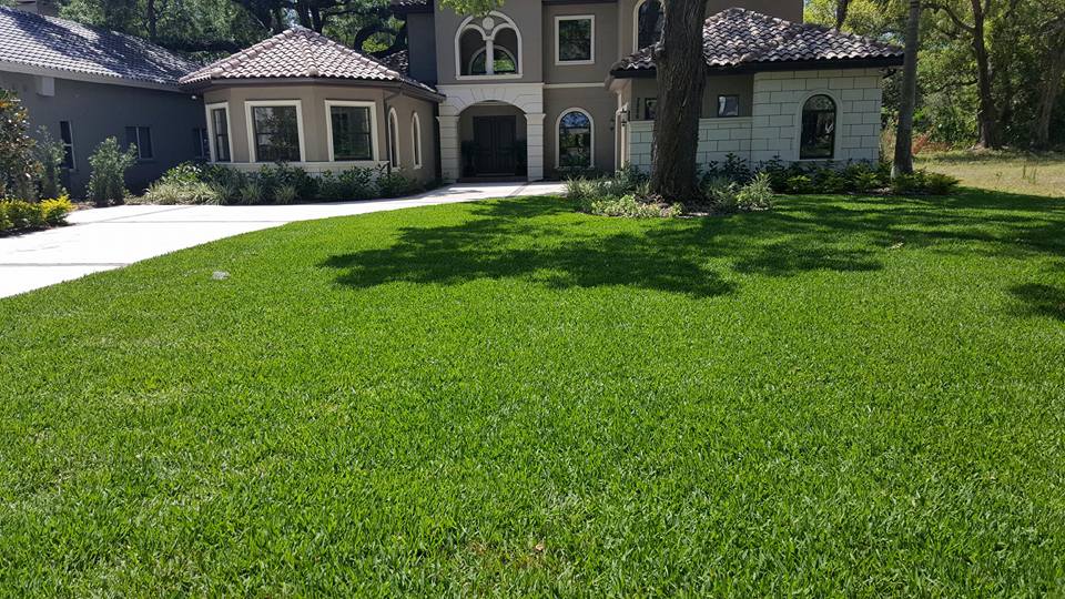 Lawn & Shrub Spraying & Fertilization