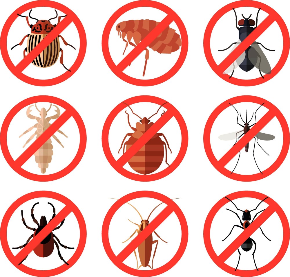 no pests