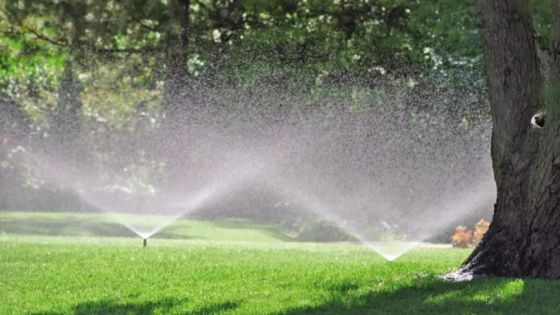 lawn sprinkler services