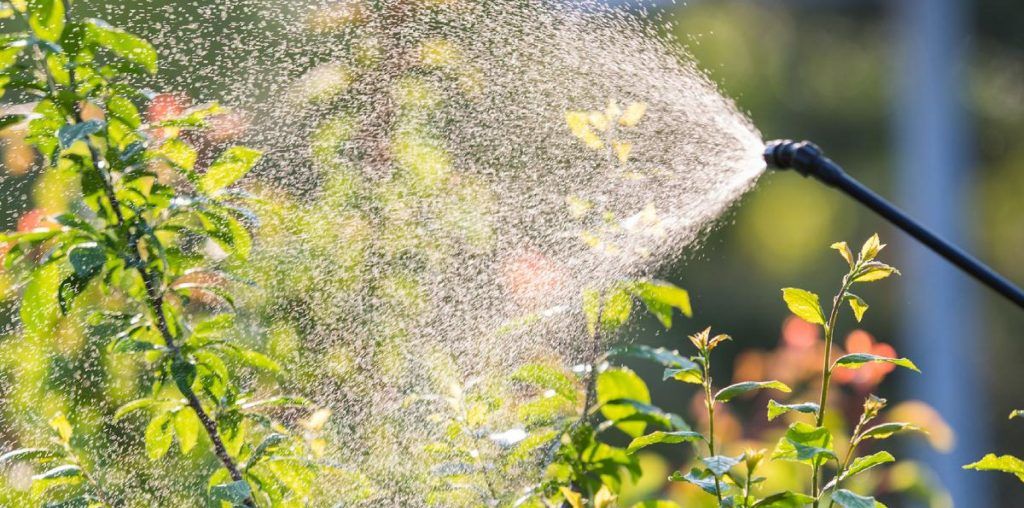 Tips to Prevent Summer Bugs from Infesting Your Home